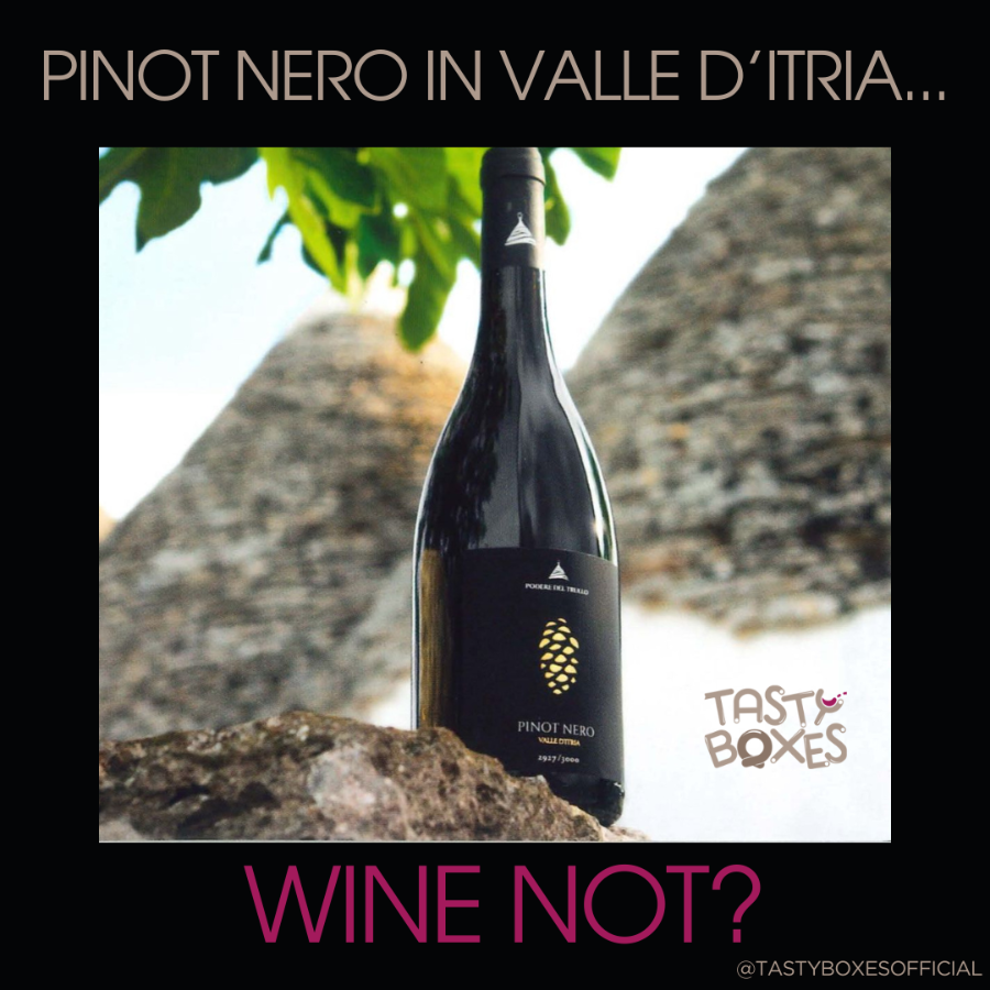 Pinot Nero prodotto in Valle d'Itria dalle catene Podere del Trullo